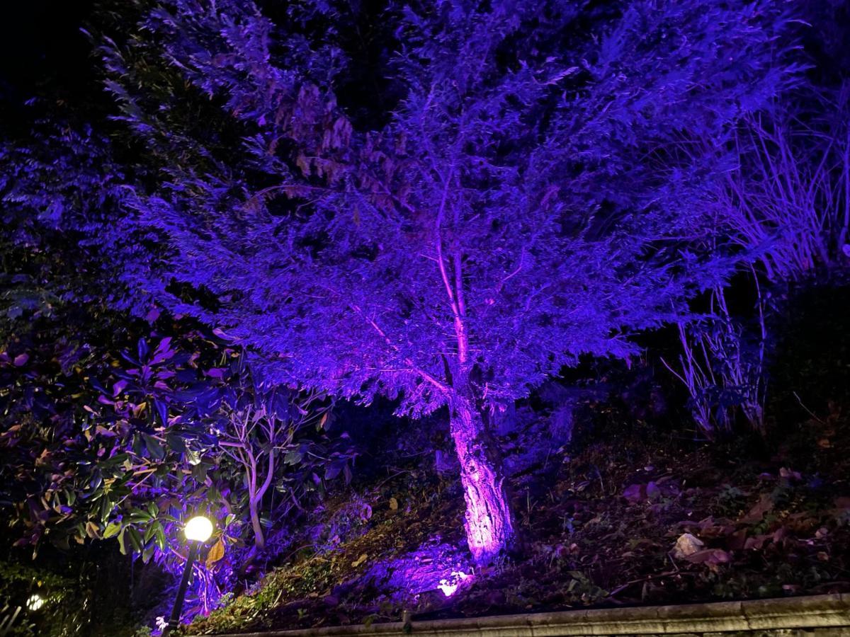 La Contessa B&B Mercogliano Bagian luar foto